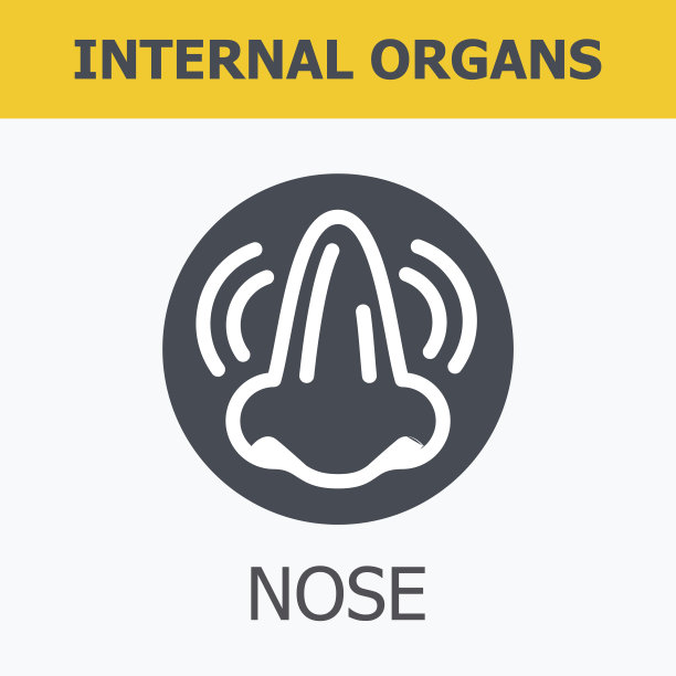 内脏-鼻子。图片下载