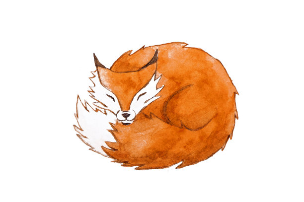 可爱的睡觉水彩画狐狸图片下载