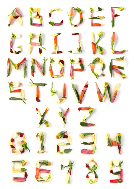 花的字母图片下载