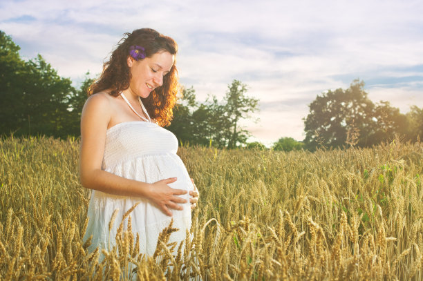 可爱的孕妇站在麦田里图片下载