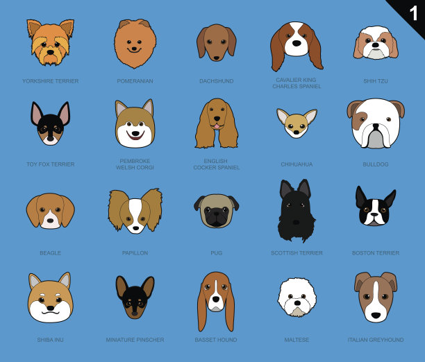 狗的脸中风图标卡通图片下载