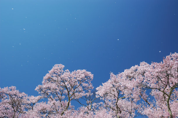 新赛季的开始图片下载