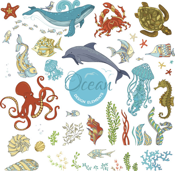 卡通野生动植物矢量集。图片下载