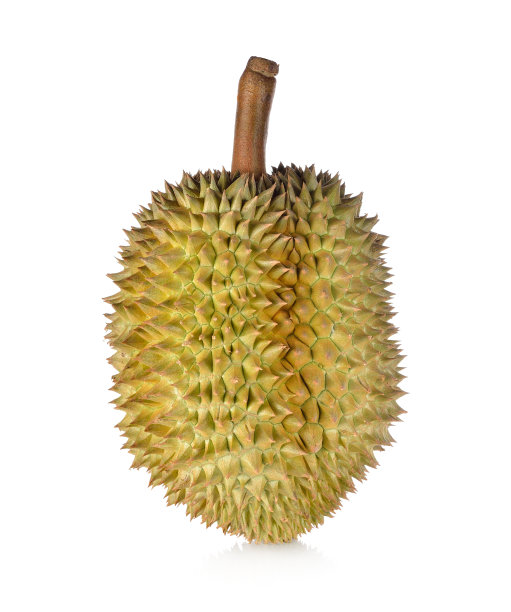 整个成熟的榴莲，茎白色背景图片下载