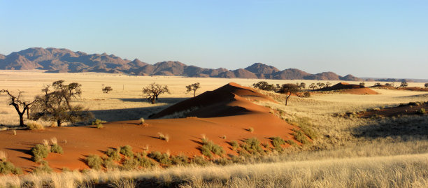 纳米布沙漠中蜿蜒的沙丘图片下载