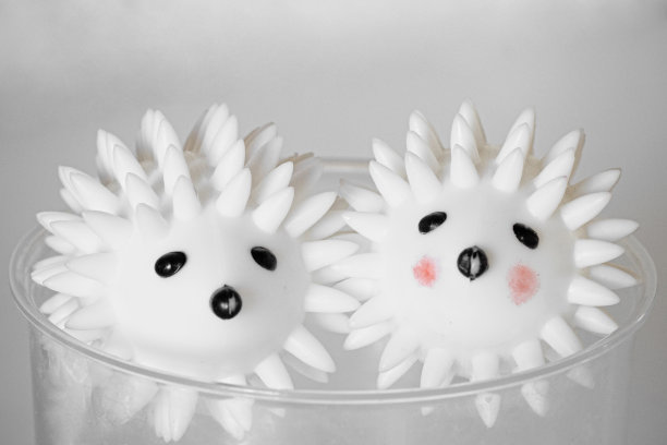 刺猬喜欢可重复使用的干燥球在一个容器图片下载