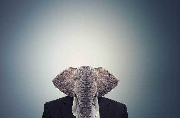 年轻的商人图片下载