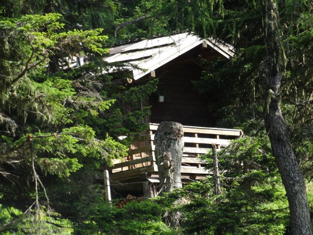 林中小屋图片下载