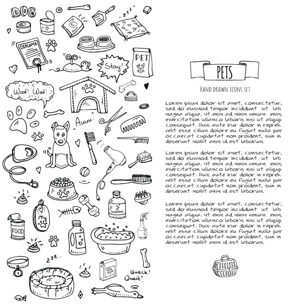 宠物用品及供应图片下载