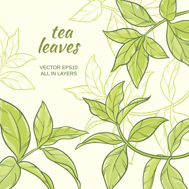 茶叶背景图片下载