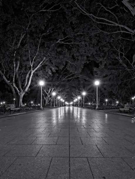 晚上公园的黑白照片图片下载