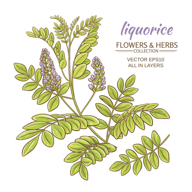 liquorise矢量图图片下载