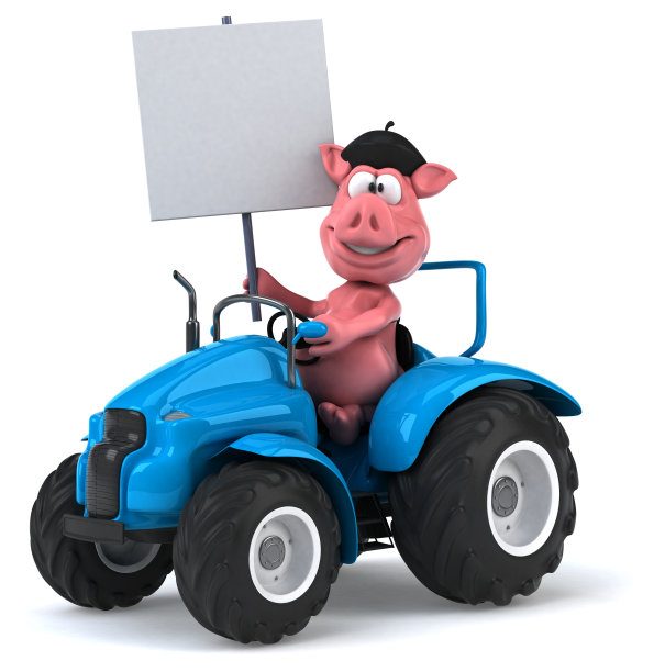 有趣的猪图片下载