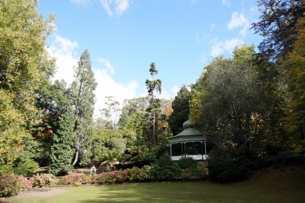 朗塞斯顿的白内障峡谷保护区图片下载