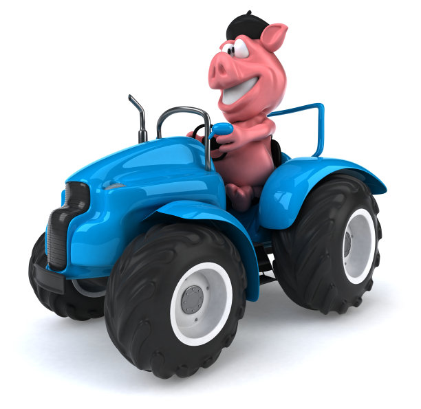 有趣的猪图片下载