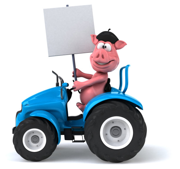 有趣的猪图片下载