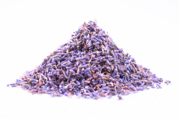 紫色的薰衣草花图片下载