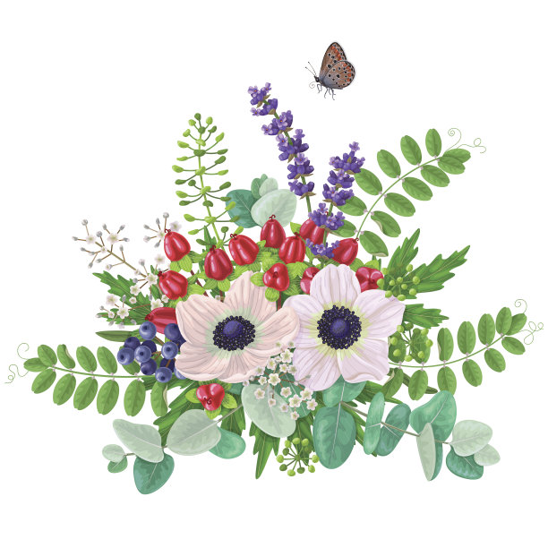 一束海葵和飞舞的蝴蝶图片下载