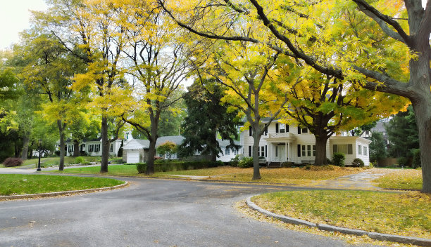 秋天的美丽街道图片下载