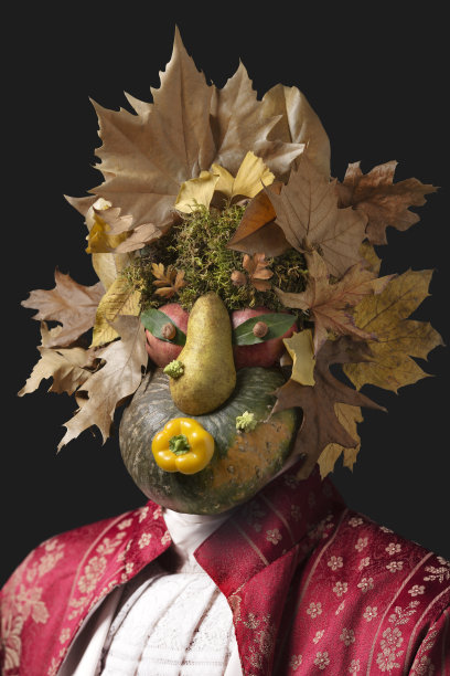 向Arcimboldo图片下载