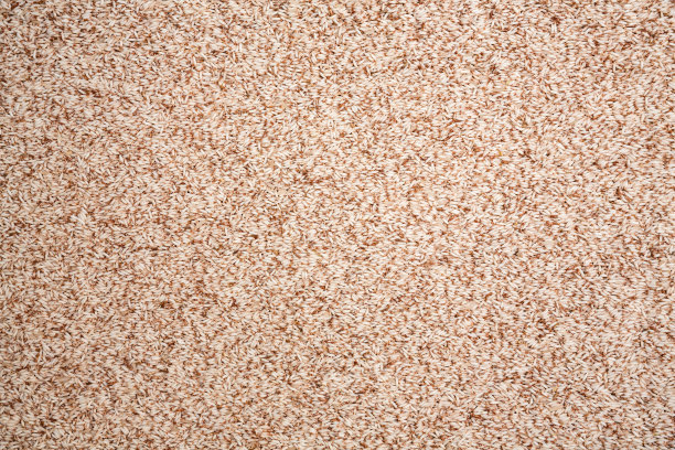 泰国糙米的质地图片下载