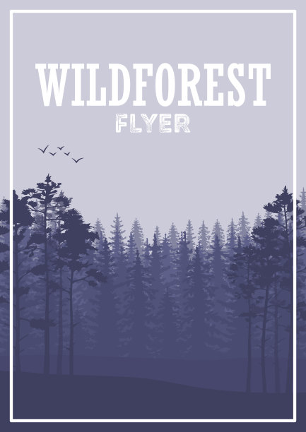 野生针叶林传单背景。松树，山水自然，木材自然全景。图片下载