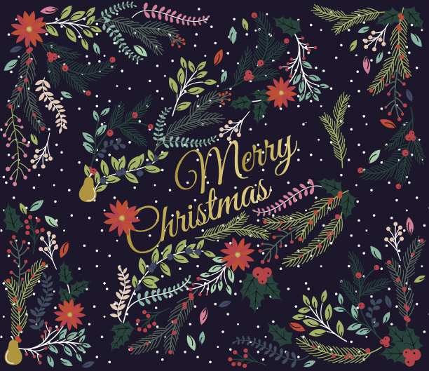 矢量花卉装饰为圣诞节或冬季假期图片下载