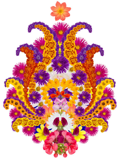 一朵春天的石榴花。从生动的花朵孤立手工拼贴画图片下载