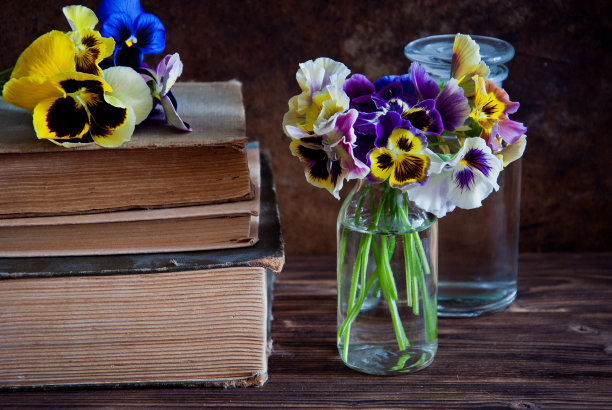 三色堇和旧书图片下载