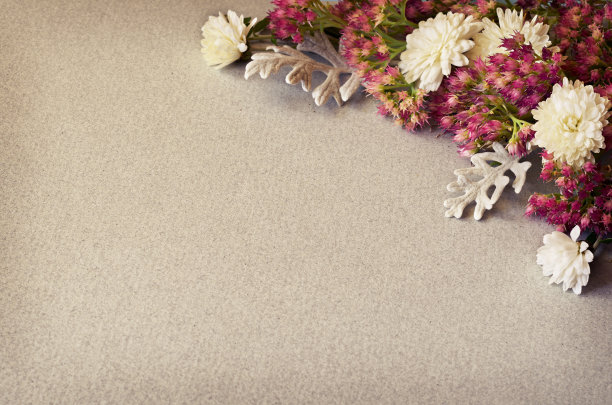 花落在灰色的纸上图片下载