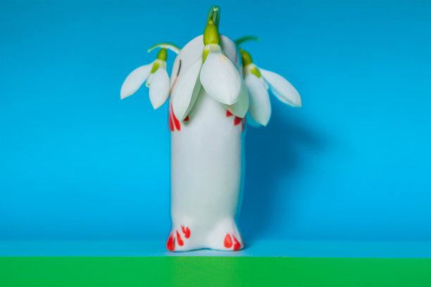 雪花莲的花瓶图片下载