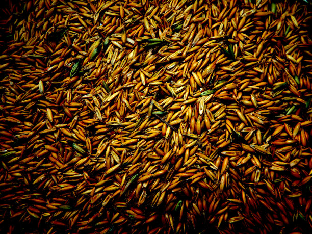 抽象的背景图片下载