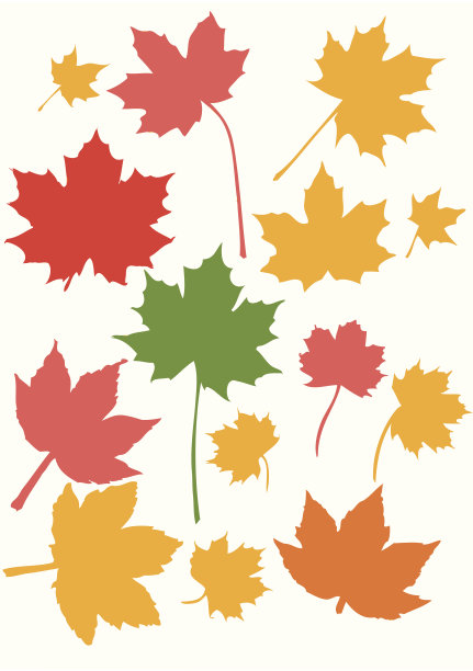 枫叶素材图片