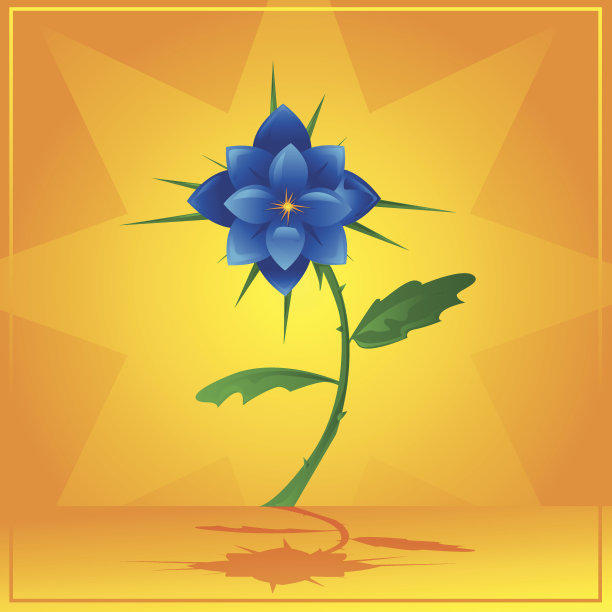 棘手的蓝花图片下载