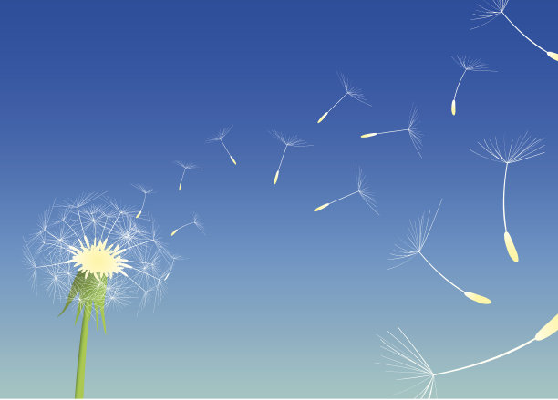 一个蒲公英在风中的载体图片下载