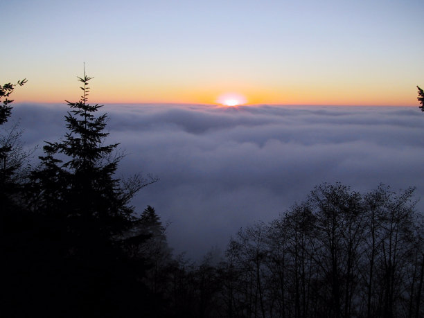 雾中日落图片下载