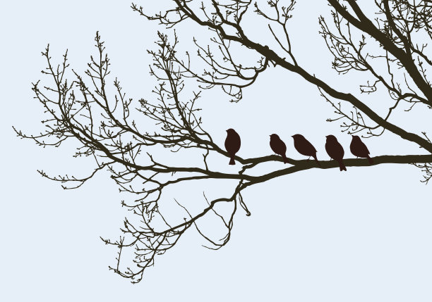 鸟儿在春天的树上图片下载