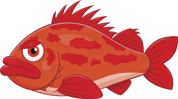 卡通海鲈图片下载