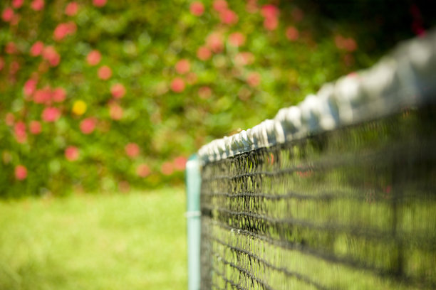 网球网图片下载