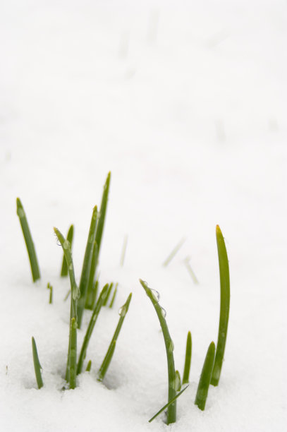 冬天的风景图片下载