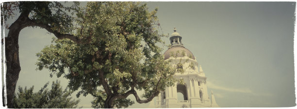 穹顶和树-复古系列图片下载