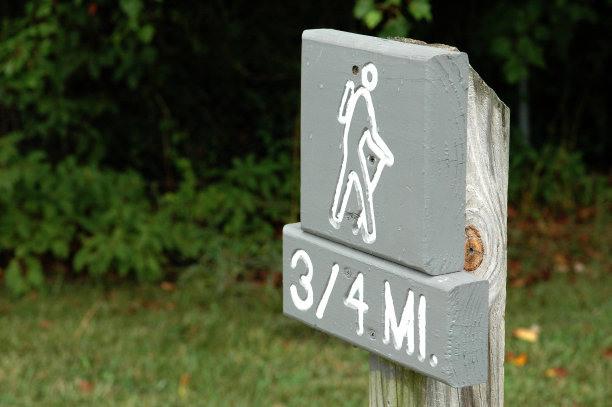 进了树林图片下载