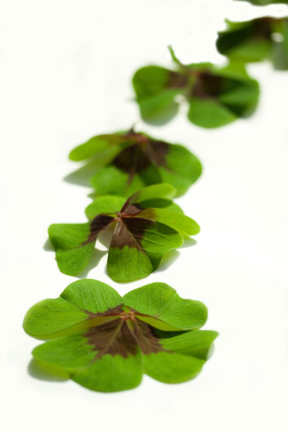 路的运气图片下载