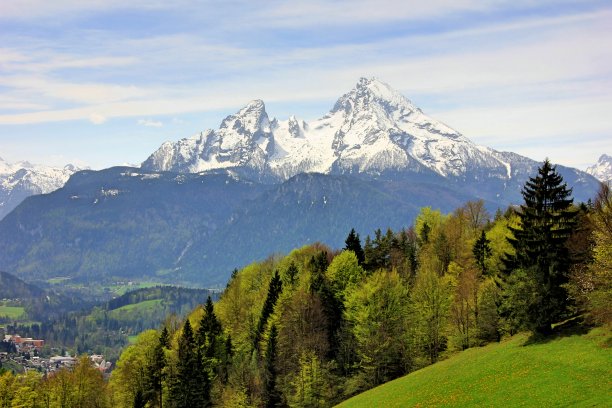 瓦茨曼图片下载