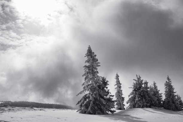 冬天的风景图片下载