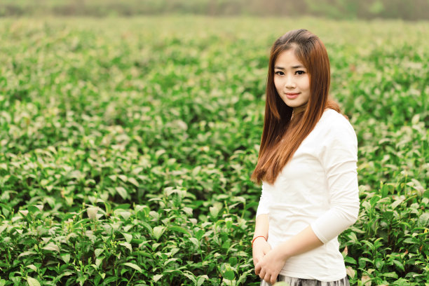茶园里的中国女孩图片下载