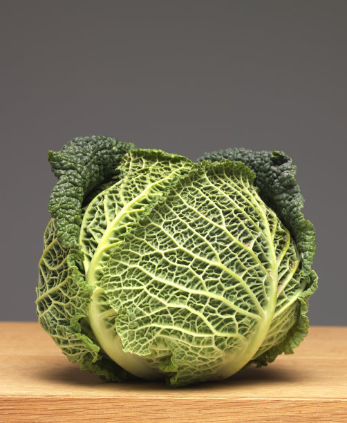 卷心菜图片下载