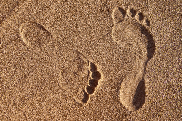 的足迹图片下载