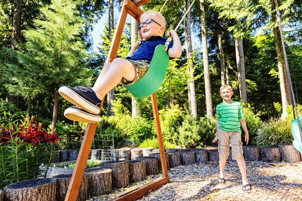 玩秋千的兄弟图片下载