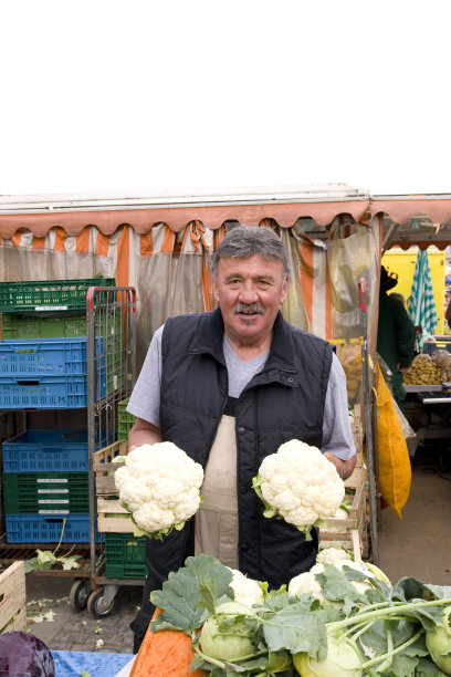 新鲜的花椰菜图片下载